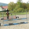 Babie Lato 2016